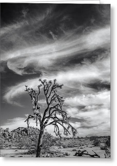 Swirling Clouds In Joshua Tree Photograph by Joseph Smith