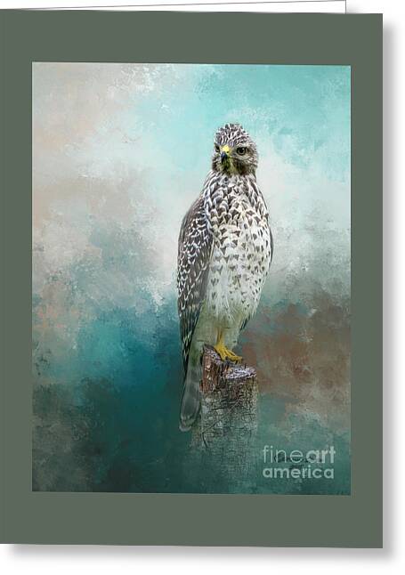 Red-shouldered Hawks Mixed Media Greeting Cards