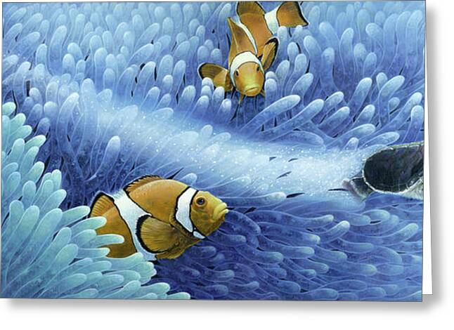 Details about   Encouragement Clown Fish Swimming Fins Rainbow of Colors Greeting Card New