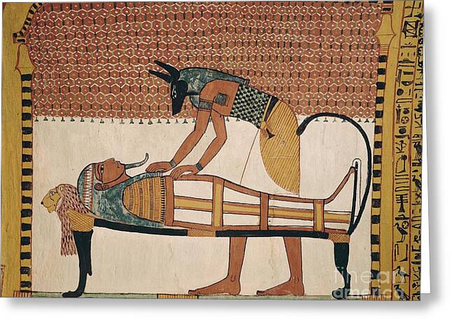 Egyptian Mummy Porn - Egyptian Mummification Greeting Cards - Fine Art America