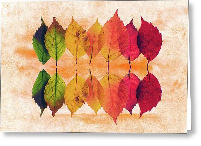 Colors Of Autumn Mixed Media Greeting Cards