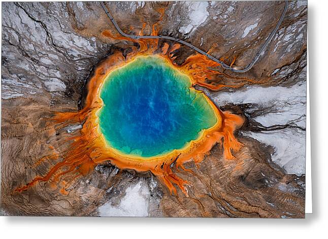 Yellowstone National Park Greeting Cards