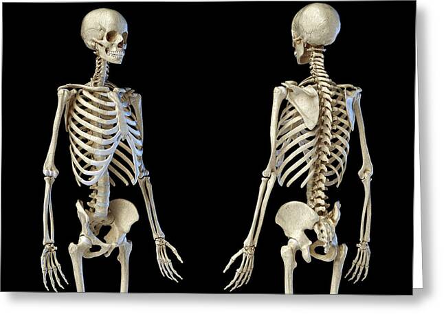 Skeleton Human Body Pattern Decoration New Year Festival Greeting Card Bless Message Present 