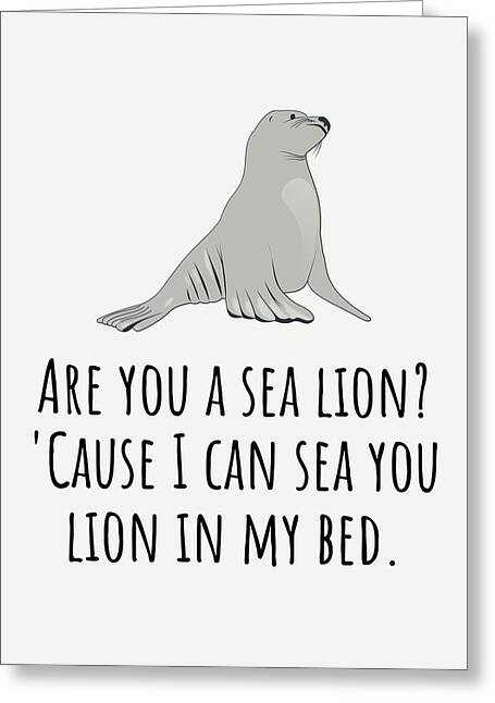 Sea Lions Greeting Cards