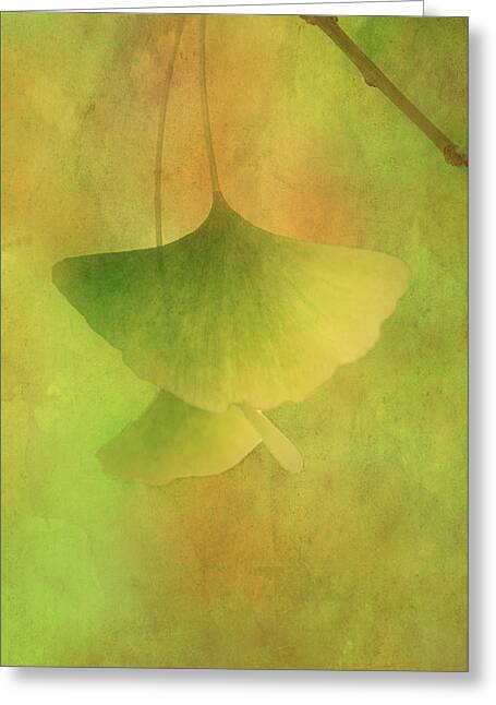 Ginko Biloba Leaves 14 #nature #ginko Greeting Card for Sale by JBJart