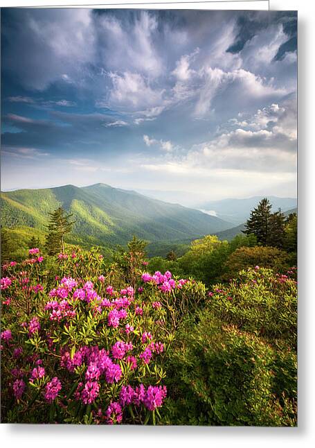 Mt Mitchell Greeting Cards