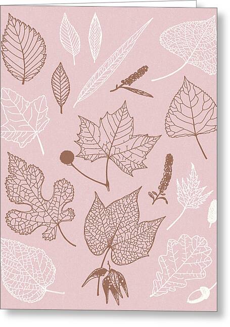 Colors Of Autumn Drawings Greeting Cards