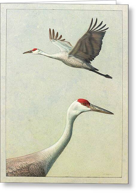 Sandhill Cranes Paintings Greeting Cards