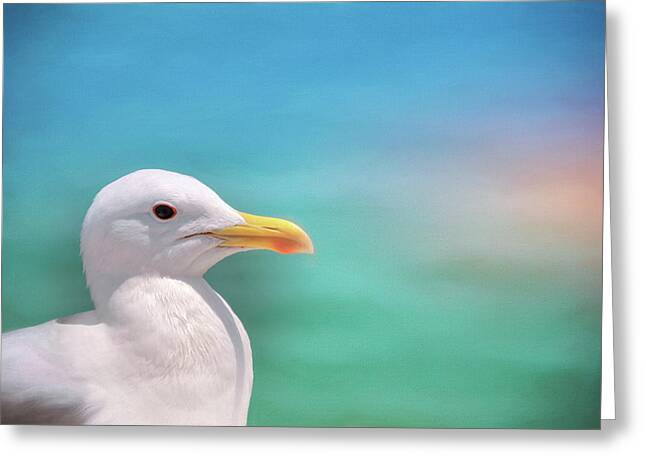 Seagulls By The Seashore Greeting Cards