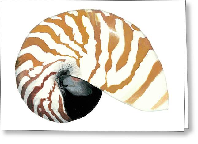 Shell Souvenirs Paintings Greeting Cards