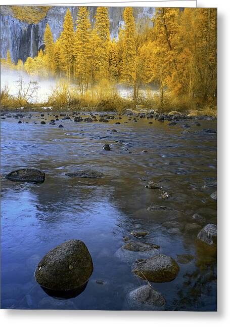 Designs Similar to Yosemite River in Yellow