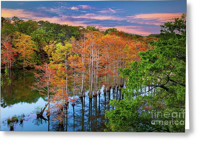 Beavers Bend State Park Greeting Cards