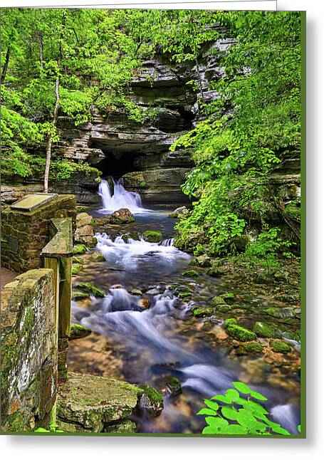 Haw River Trail Greeting Cards