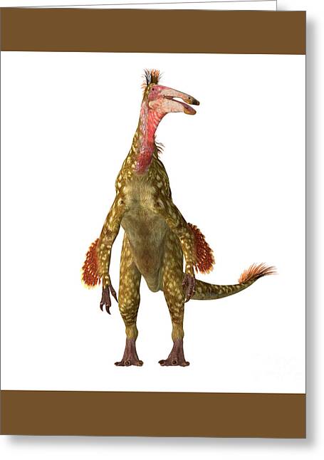 Deinocheirus updated after Hartman  Prehistoric creatures, Prehistoric  wildlife, Extinct animals