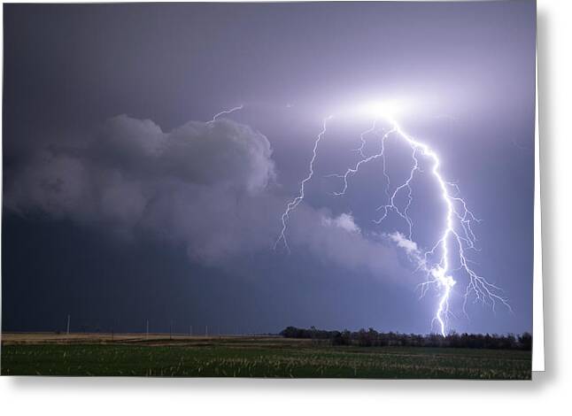 Cloud-to-ground Lightning Greeting Cards