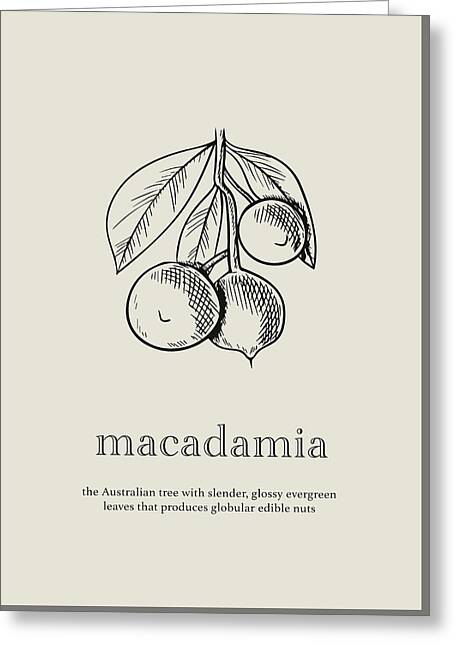 Macadamia Nuts Greeting Cards