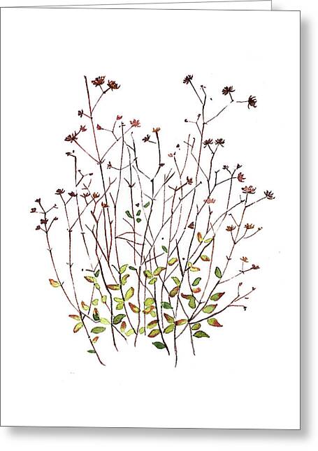 Dried Leaves Greeting Cards