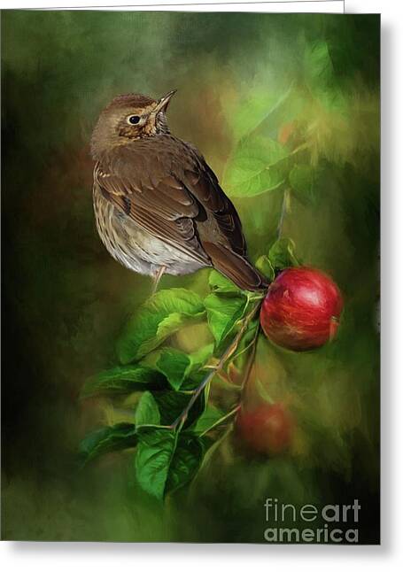 Thrushes Greeting Cards