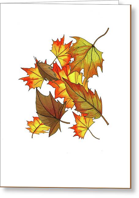 Fall Colour Drawings Greeting Cards