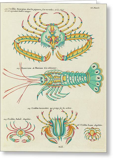 Scorpion Fish Greeting Cards