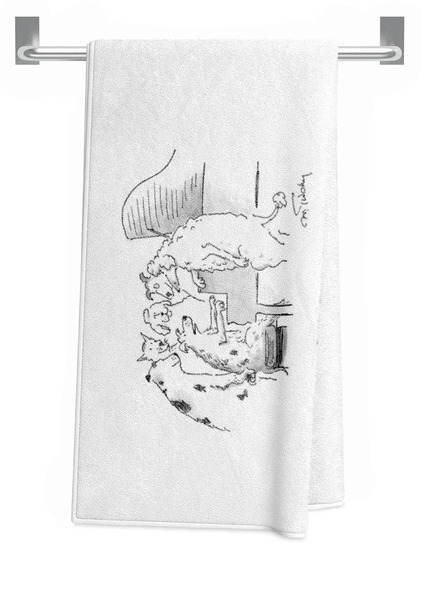 Towel Hanging