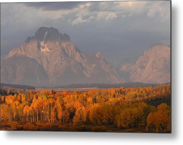 Moran Over Autumn Trees Metal Print