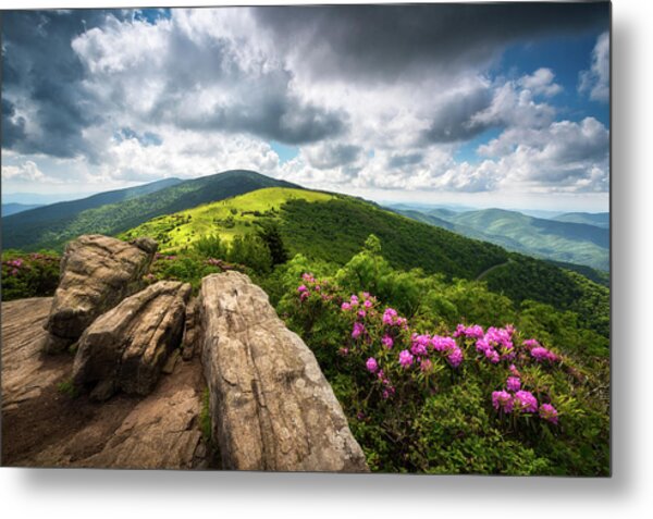 Roan Mountain Radiance Appalachian Trail Nc Tn Mountains Metal Poster