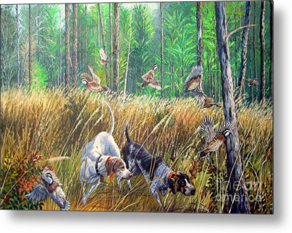 Thunder In The Pines- Bobwhite Quail Hunting Metal Print