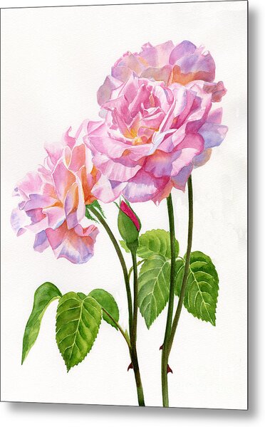 Three Pink Roses With Leaves And Stems Painting by Sharon Freeman