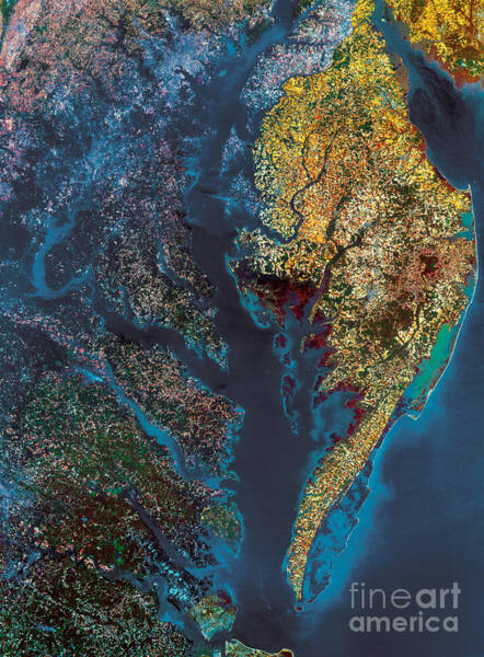 Chesapeake Bay #1 Poster