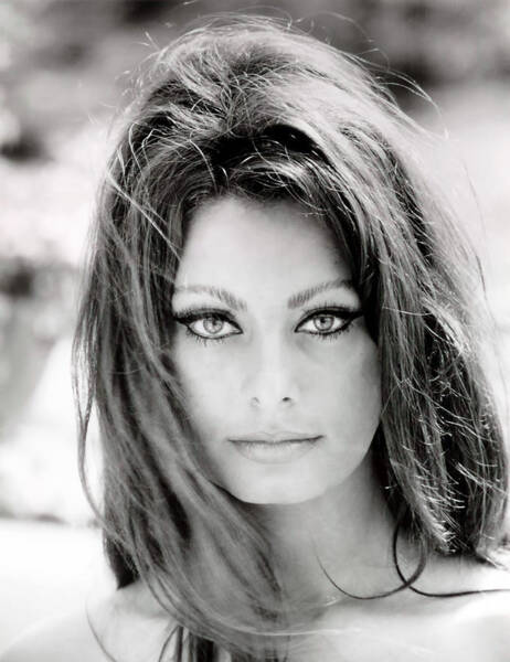 Vintage Art Poster Silver Screen Actress Sophia Loren 2 Print A4 A3 A2 A1 