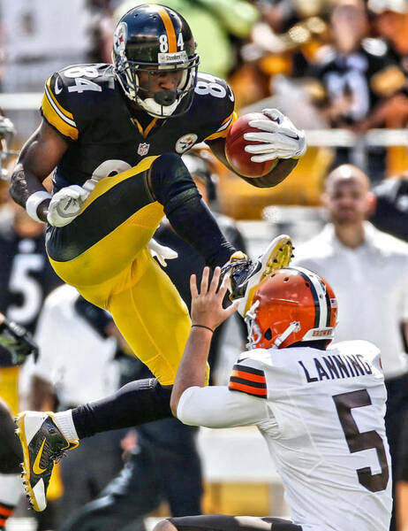Lang Companies Inc Pittsburgh Steelers 12 x 12 Inch Antonio Brown Wall Calendar 2019 