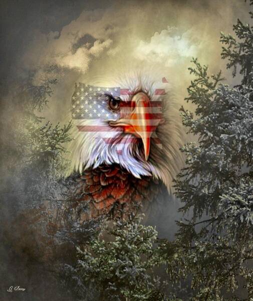 Bald Eagle American Flag Posters for Sale (Page #5 of 24) - Fine Art America