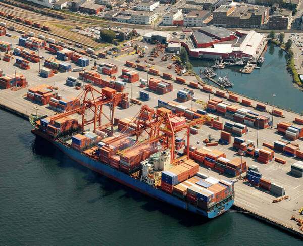 Container Ship And Cranes Poster