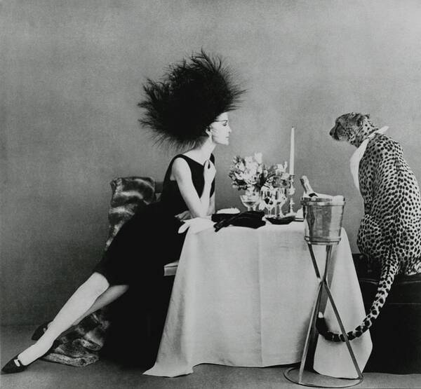 A Model With A Cheetah Poster