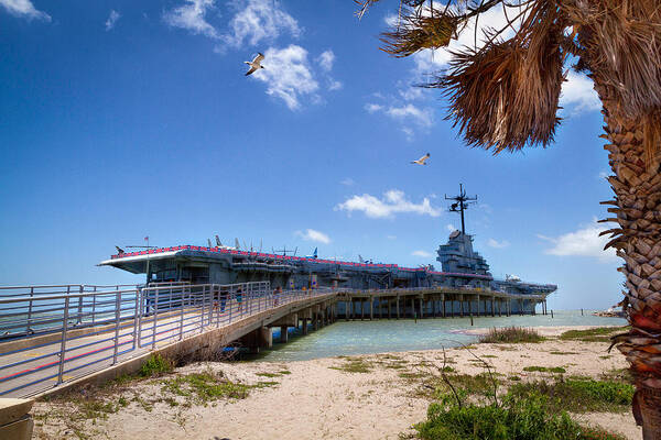  Photograph - Carrier by the Beach by Tim Stanley