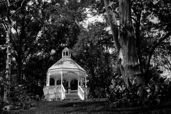  Photograph - Gazebo in the Trees by Tim Stanley