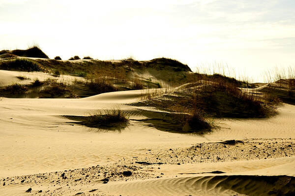  Photograph - North Carolina Sand Dunes by Louis Dallara