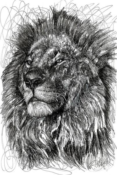 3D Rose lsp_184661_1 King of The Jungle Lion and Africa Map Art Original-Single Toggle Switch 