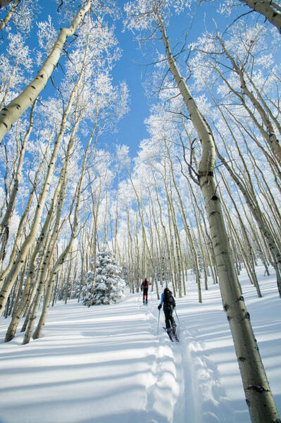 Wall Art - Photograph - Backcountry Skiing In The Sangre #3 by Jen Judge