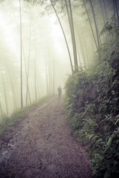 Wall Art - Photograph - Man Walking In Foggy Forest by Fzant
