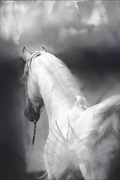 New Year Soft Art Print