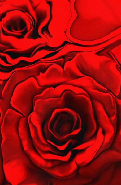  Digital Art - Red Roses by Catherine Lott