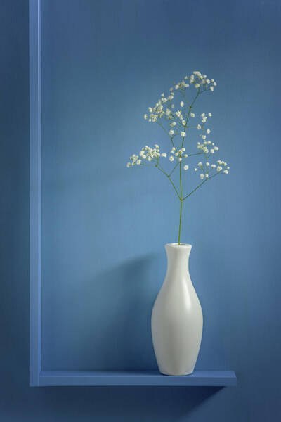 Wall Art - Photograph - Simplicity by Stephen Clough