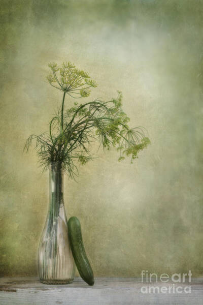 Still Life With Dill And A Cucumber Art Print