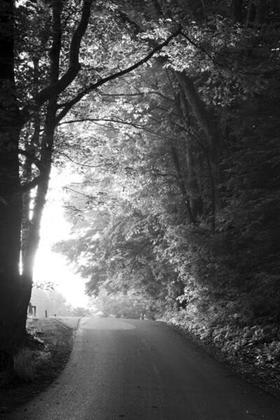 Wall Art - Photograph - The Path Ahead by Andrew Soundarajan