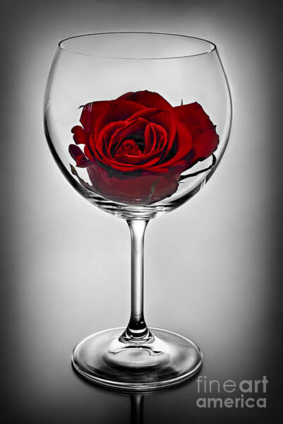 Wine Glass With Rose Art Print