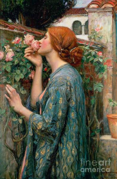The Soul Of The Rose Art Print