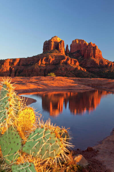Wall Art - Photograph - Sedona Arizona #6 by Dougberry