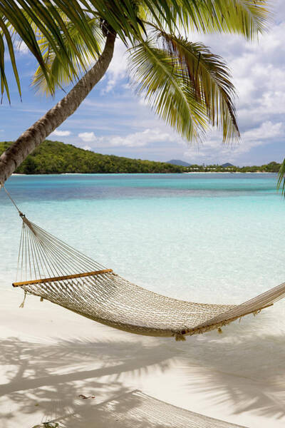 Hammock Hung On Palm Trees On A Art Print